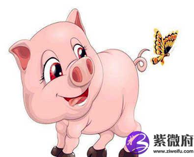 1983年属猪的人是什么命