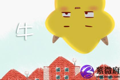 属牛
