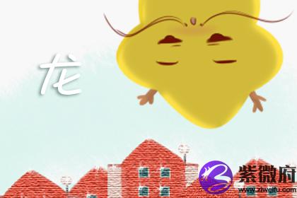 属龙