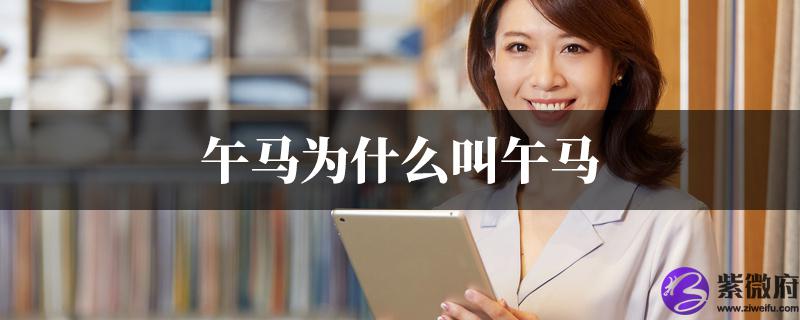 午马为什麽叫午马
