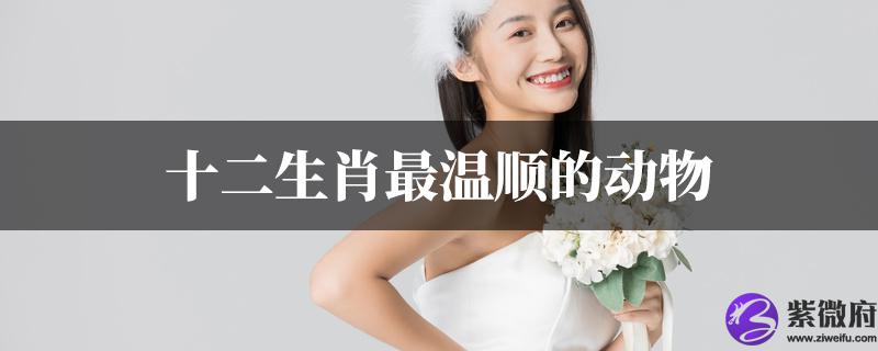 十二生肖最温顺的动物是什麽