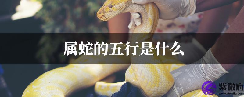属蛇的五行是什麽