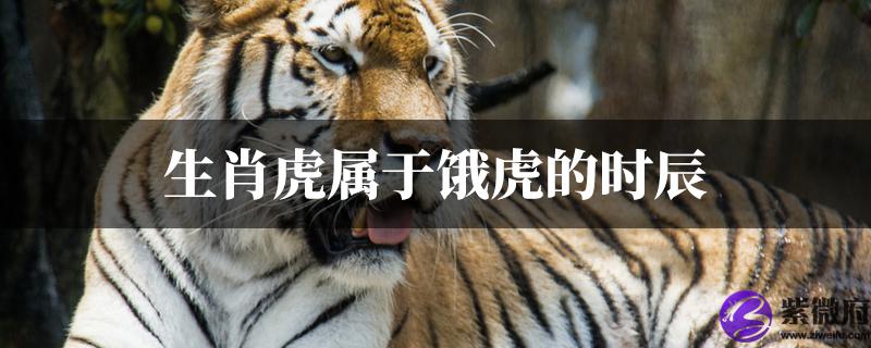 生肖虎属于饿虎的时辰