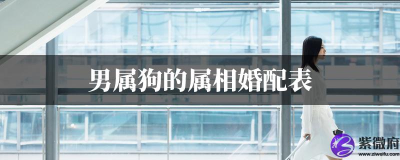 男属狗的属相婚配表