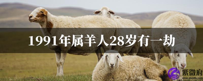 1991年属羊人28岁有一劫