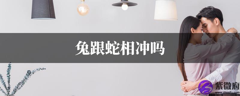 兔跟蛇相冲吗