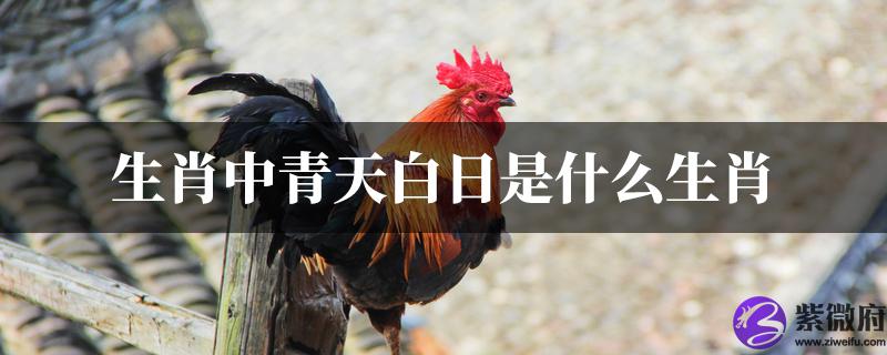 十二生肖中青天白日是什麽生肖