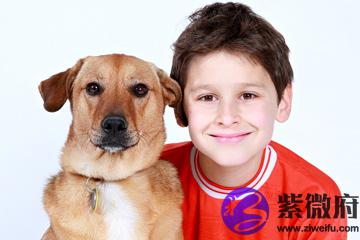 牛年正月出生的男孩名字