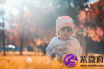 好听的鼠年女宝宝名字