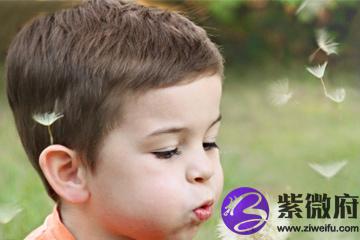 鼠年男宝宝取名字大全李姓