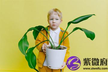 2021牛年男孩名字大全