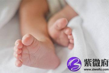 鼠宝宝起名懿